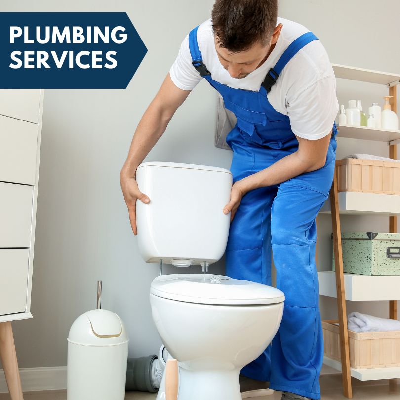 Plumbing Company in Forest Lake, MN